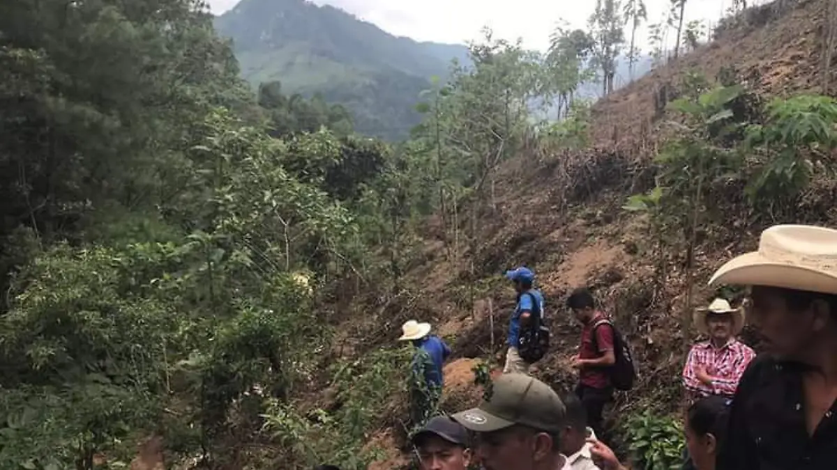 personas en el campo